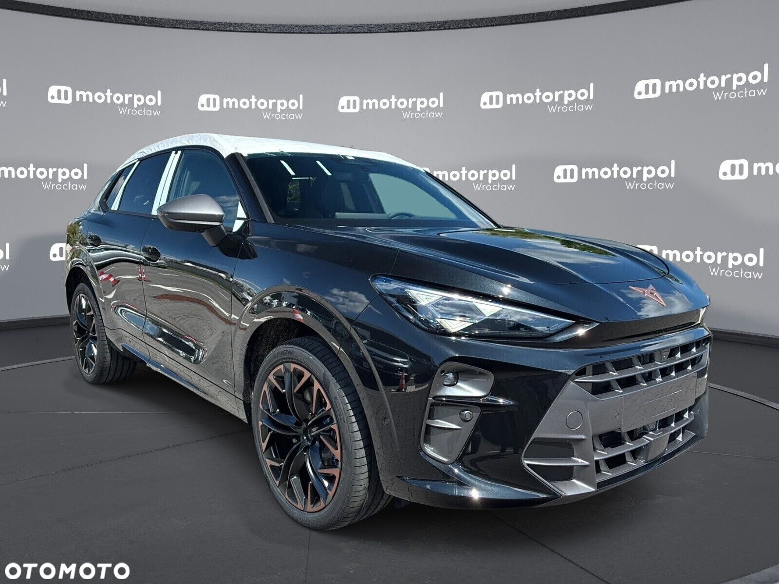 Cupra Terramar - 12