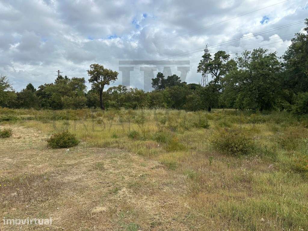 Terreno Industrial C/ PIP Aprovado, Palmela - Setúbal, 10.471 m2 - Grande imagem: 4/10