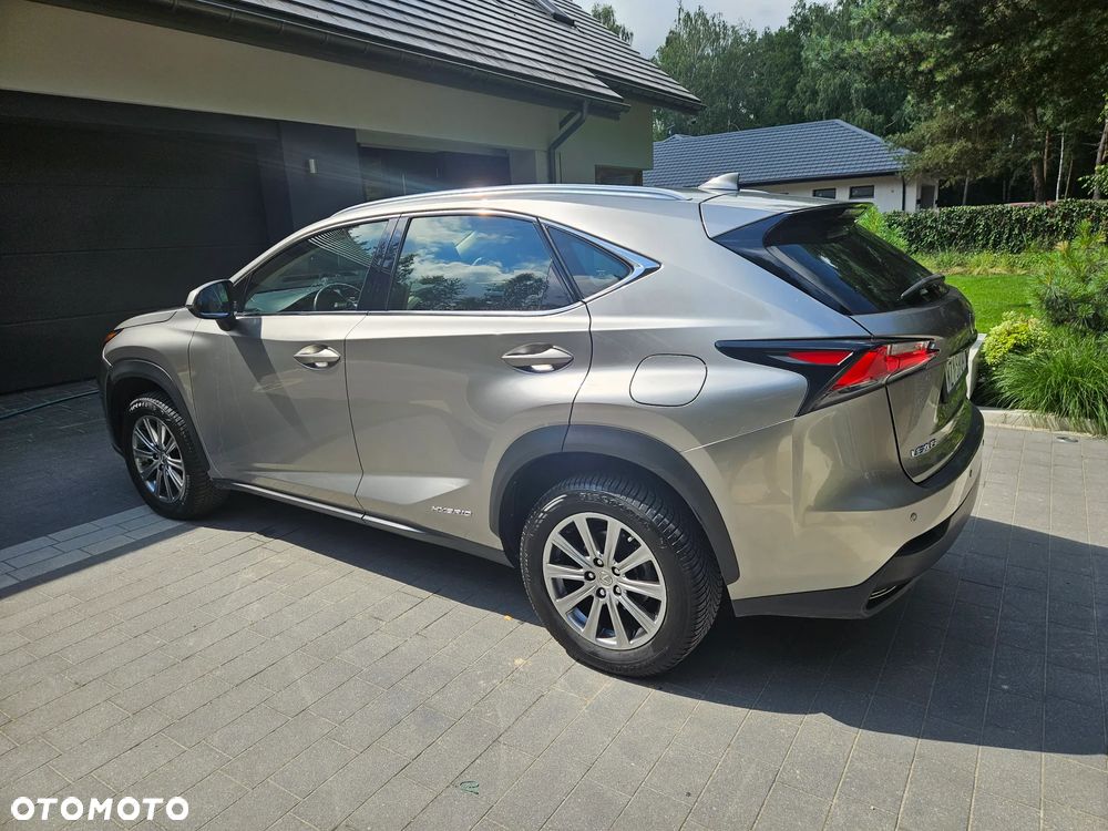 Lexus NX 300h Prestige AWD - 17