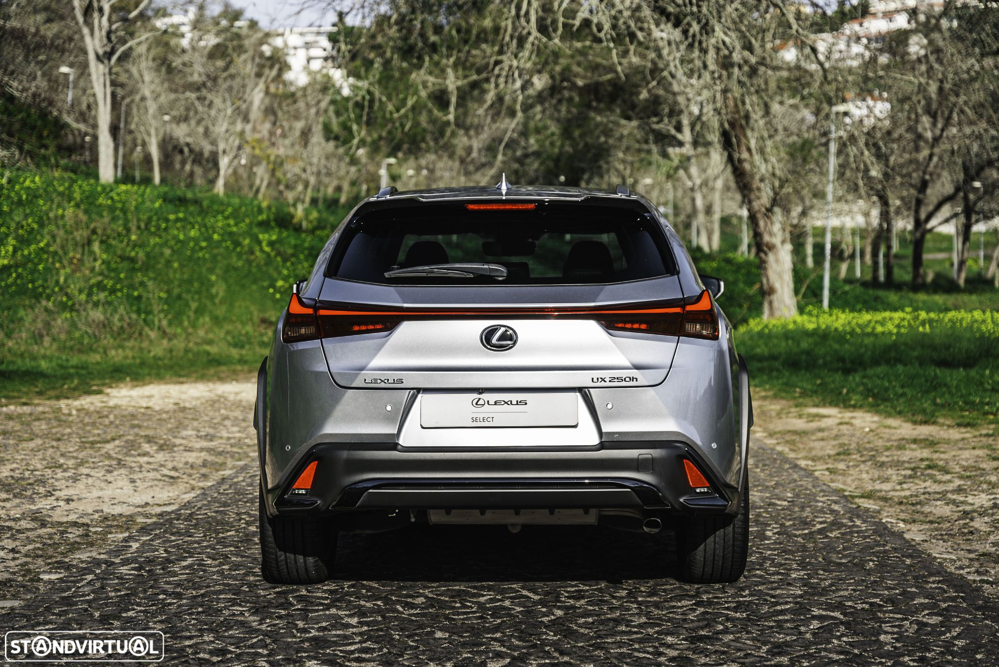 Lexus UX 250h Sport (Ecrã 12.3) - 4