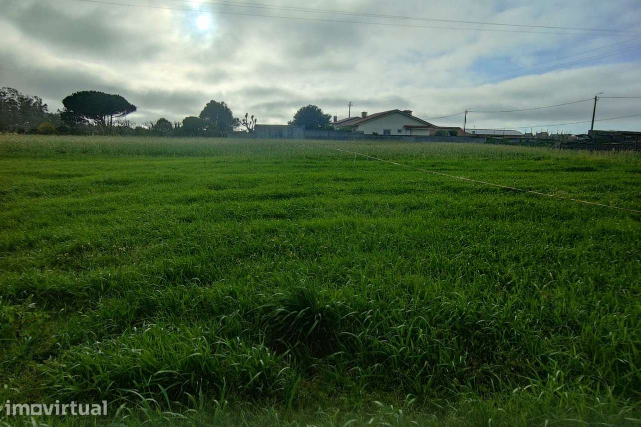 Terreno Rústico  Venda em Mindelo,Vila do Conde - Grande imagem: 2/7