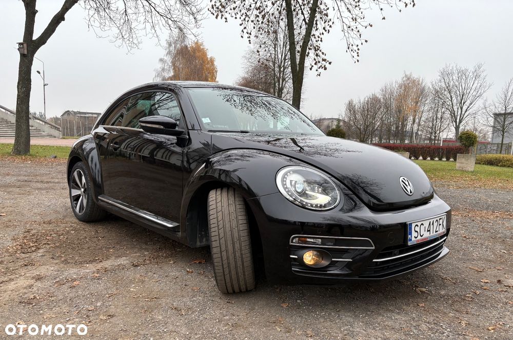 Volkswagen Beetle - 15