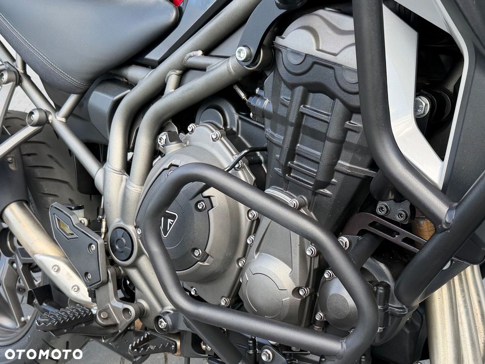 Triumph Tiger - 19
