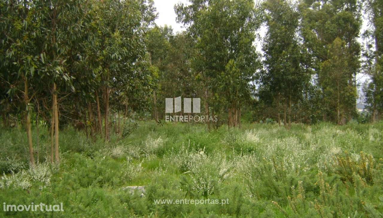 Venda Terreno, Manhuncelos, Marco de Canaveses - Grande imagem: 3/7