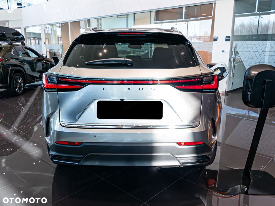 Lexus NX - 6