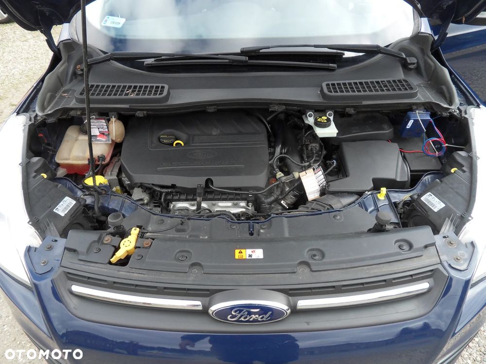 Ford Kuga 1.5 EcoBoost 2x4 Business Edition - 17