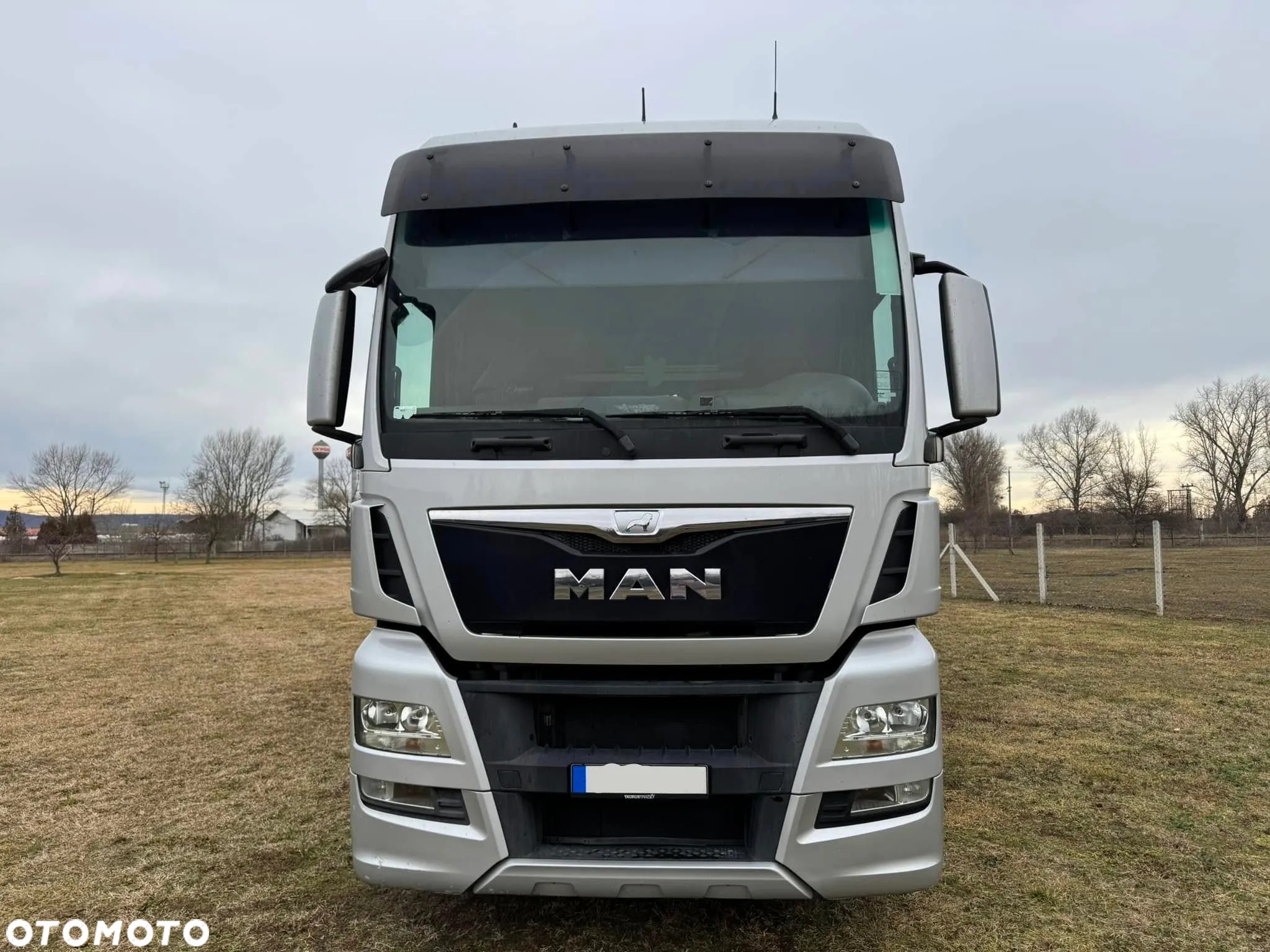 MAN TGX 26.440 Pezzaioli, 3 Pietra, Bydło, Trzoda, Żywca, Zwierząt - 2