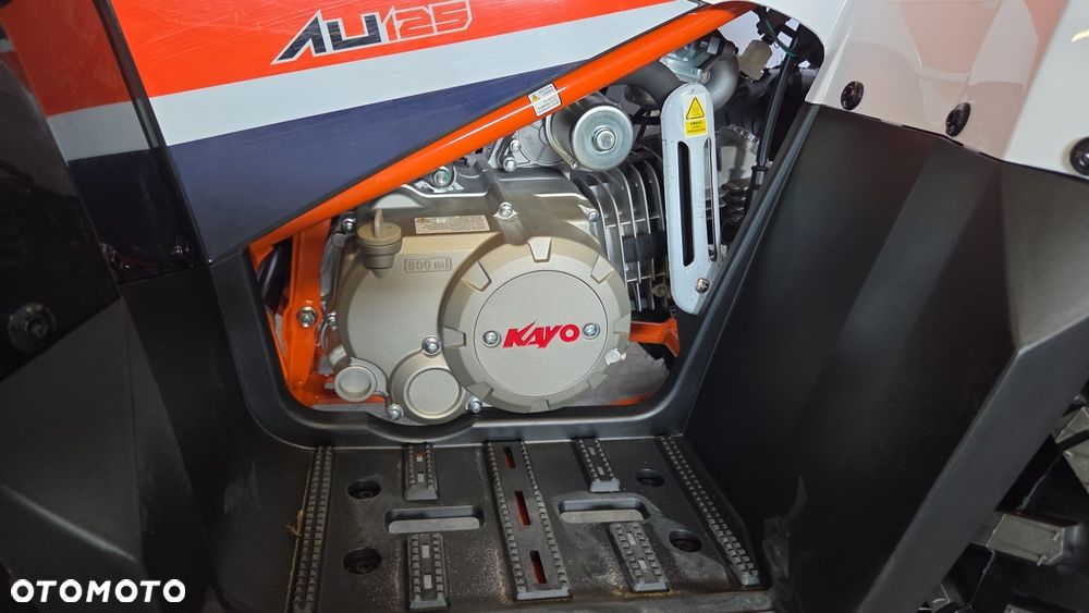 KAYO AU - 15