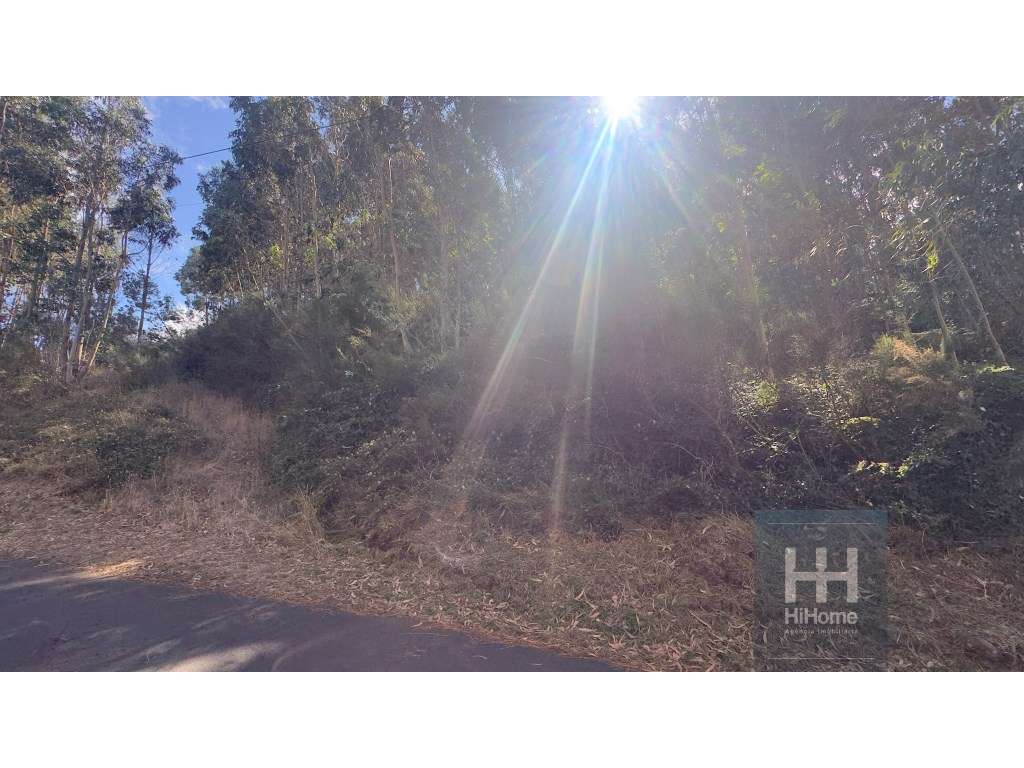 Terreno na Camacha com 2.340 m2 com PIP aprovado para construção de... - Grande imagem: 4/13