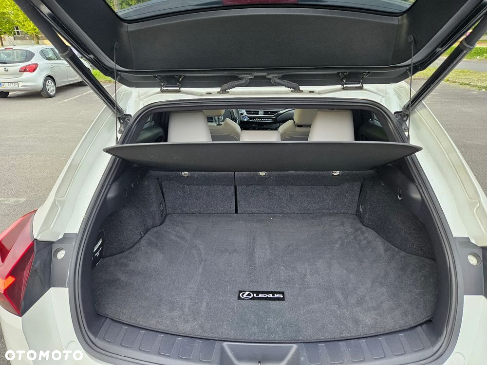 Lexus UX 250h - 12