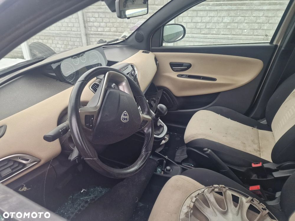 Lancia Ypsilon Y 0.9 TwinAir Turbo 8V Automatik Platinum - 11