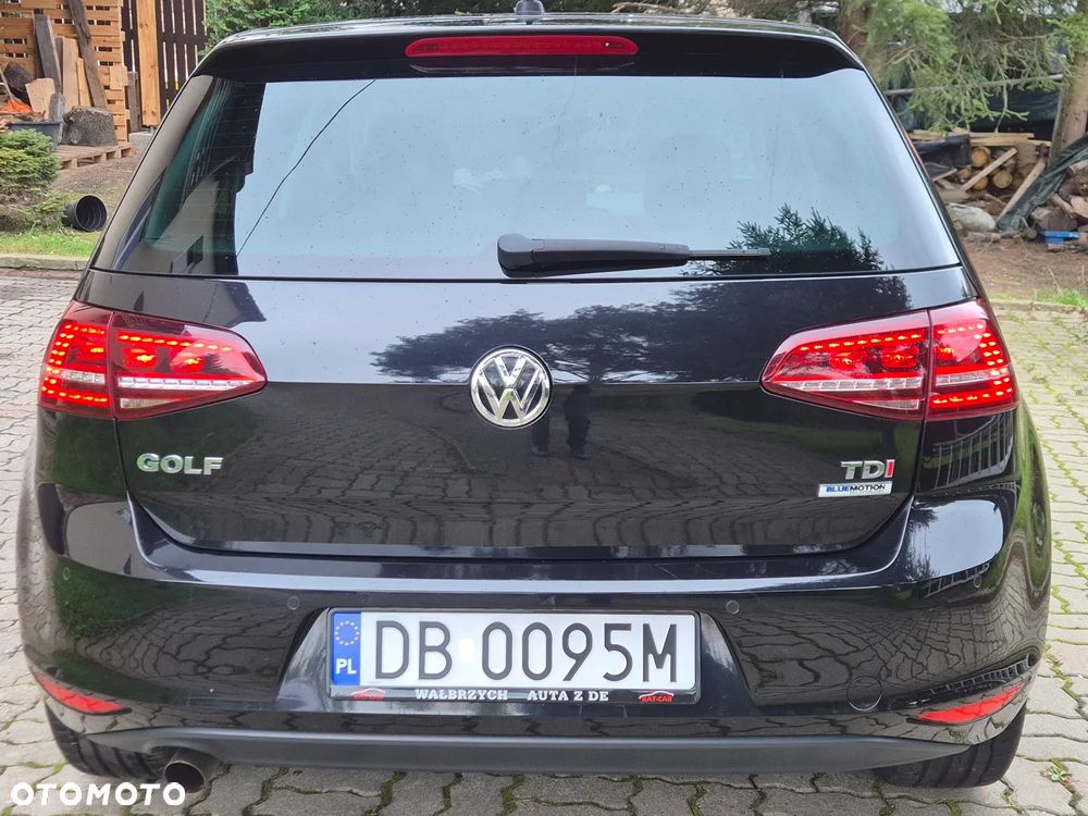 Volkswagen Golf 1.6 TDI BlueMotion Technology Allstar - 6