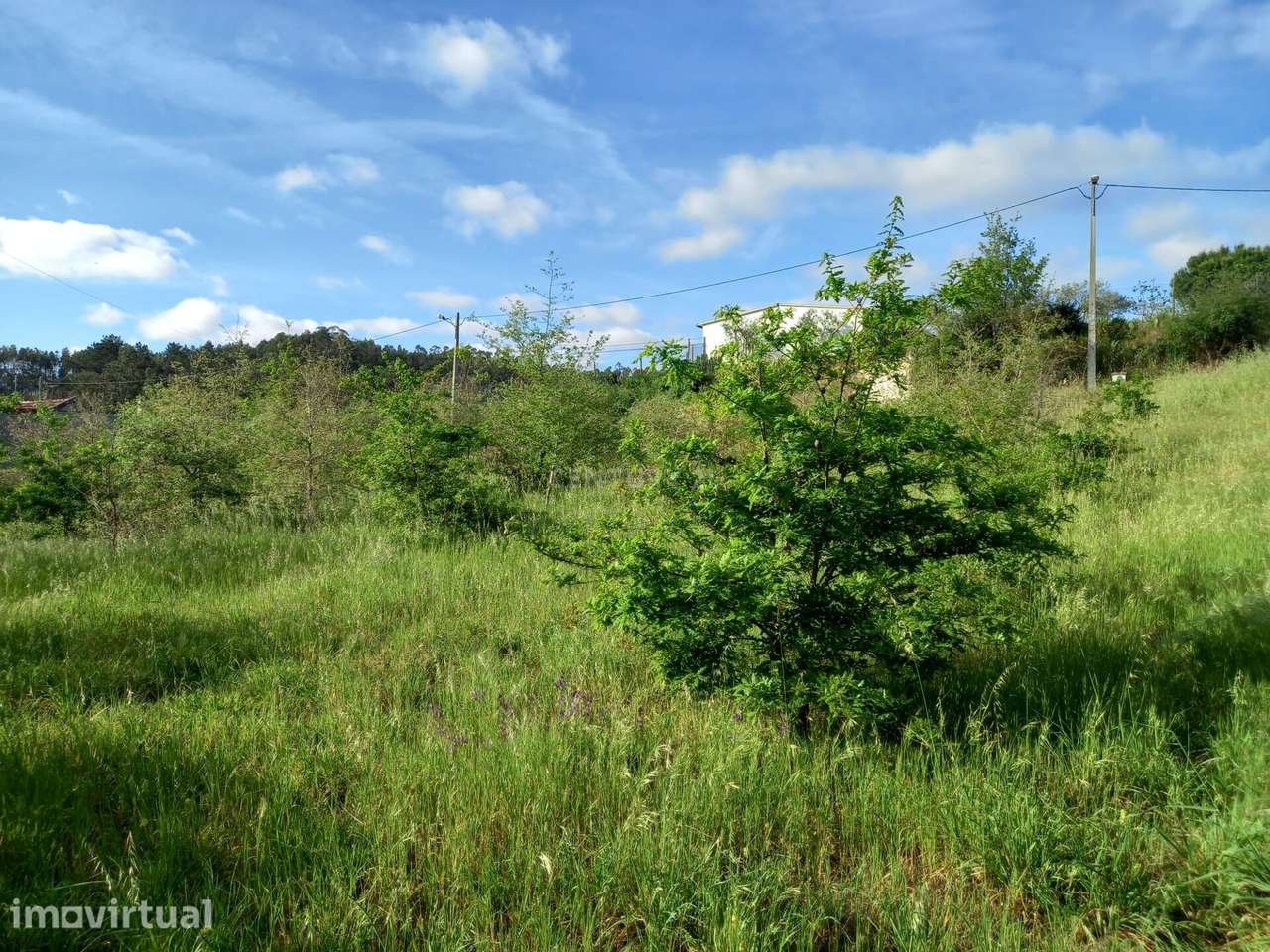 Terreno com 800 m2 em Barbas Novas - Grande imagem: 5/15