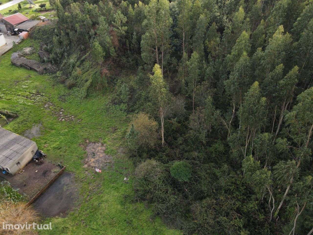 Lote para construção, Cabaços - Grande imagem: 3/3