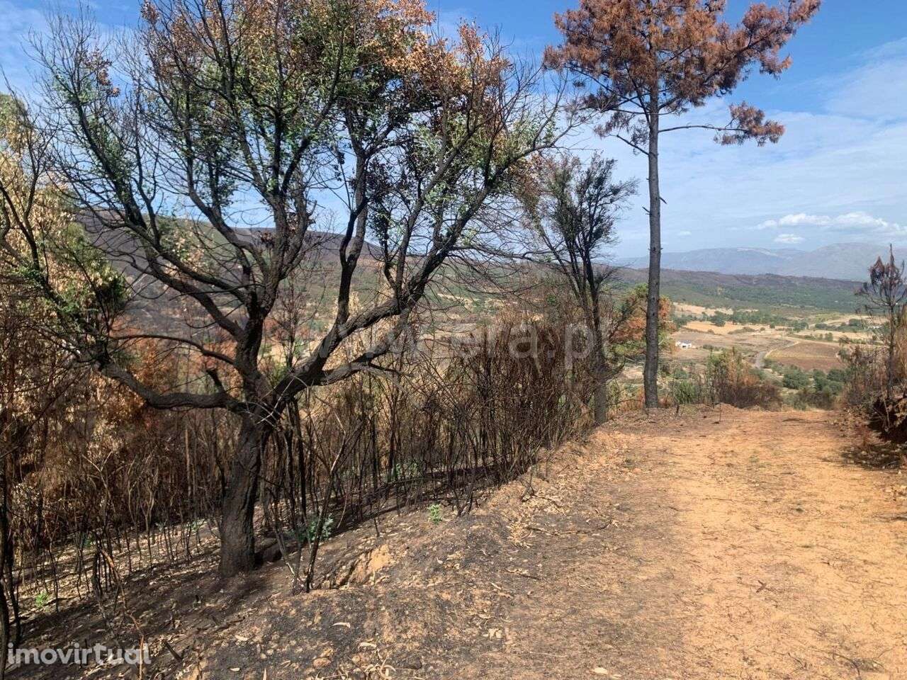 Terreno / Fundão, Freixial - Grande imagem: 2/5