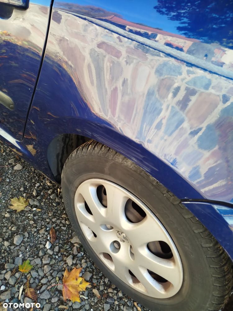 Peugeot 307 1.6 - 13