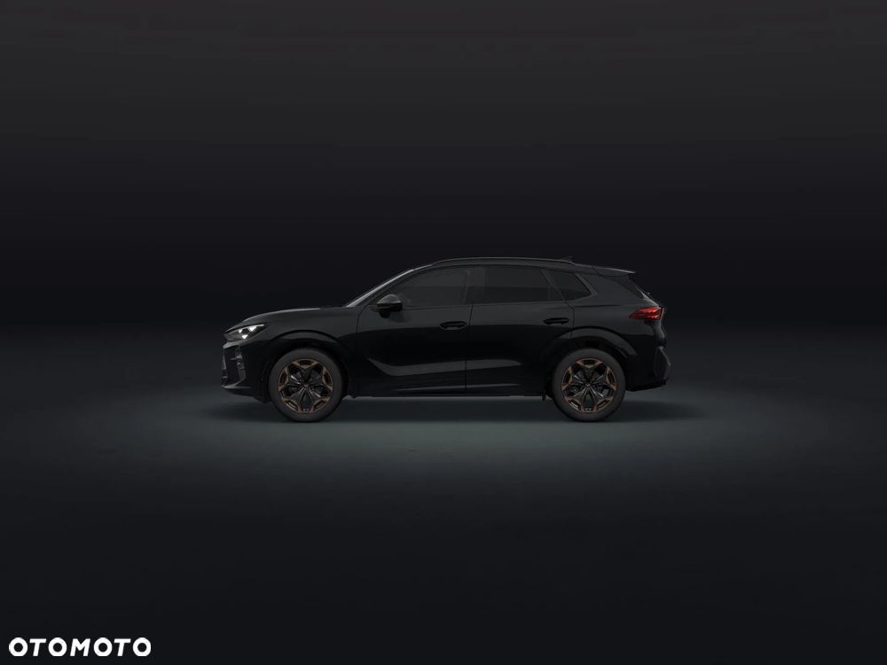Cupra Terramar - 2