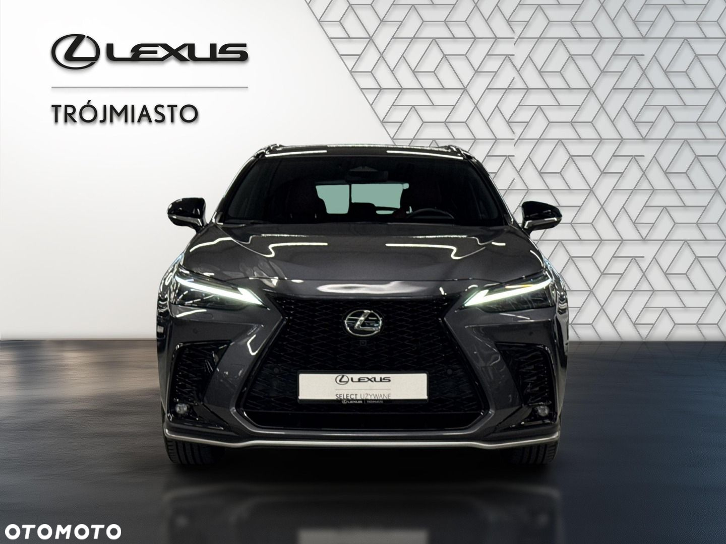 Lexus NX - 8