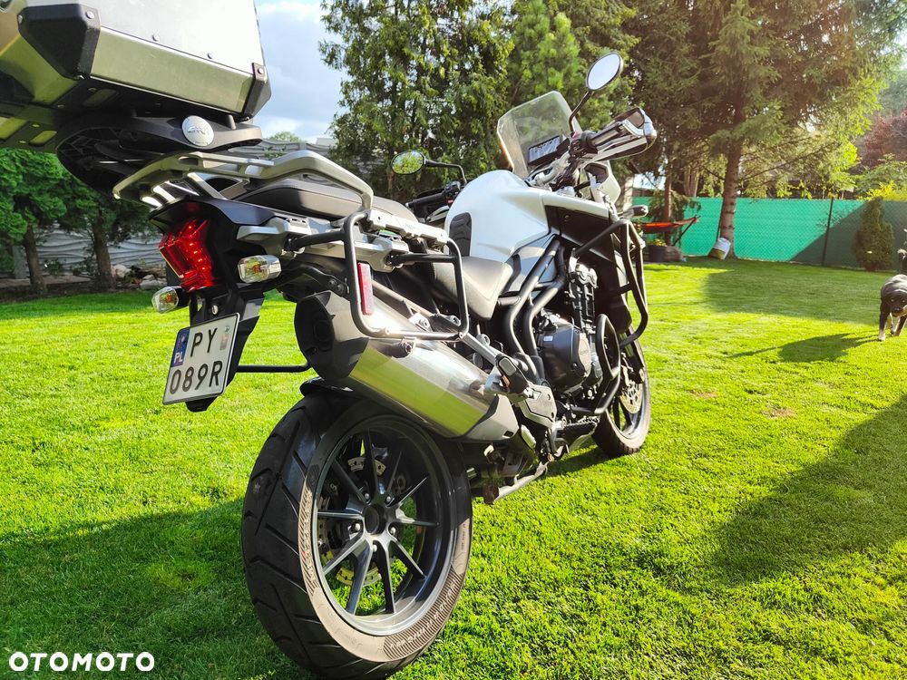 Triumph Tiger - 8