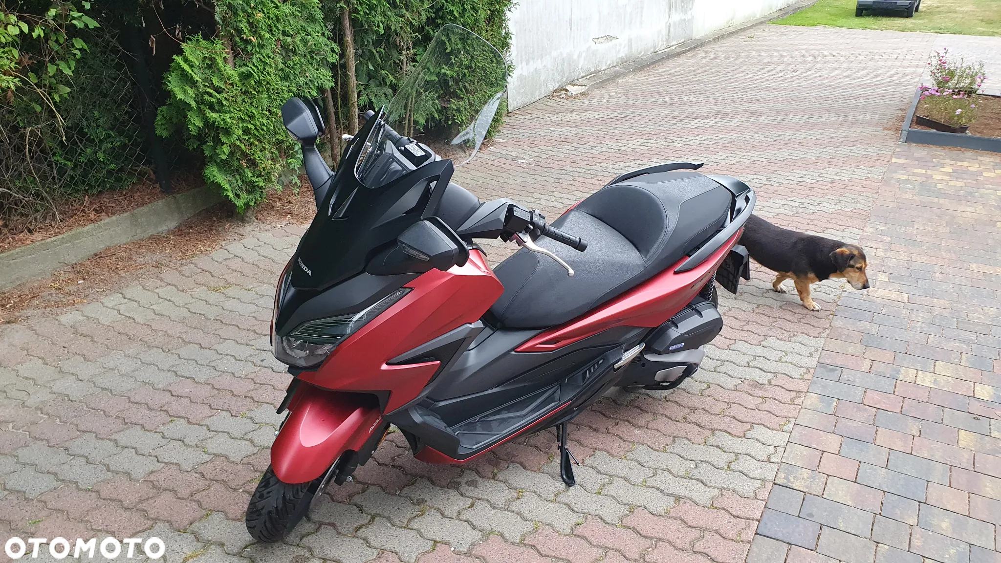 Honda NSS - 10