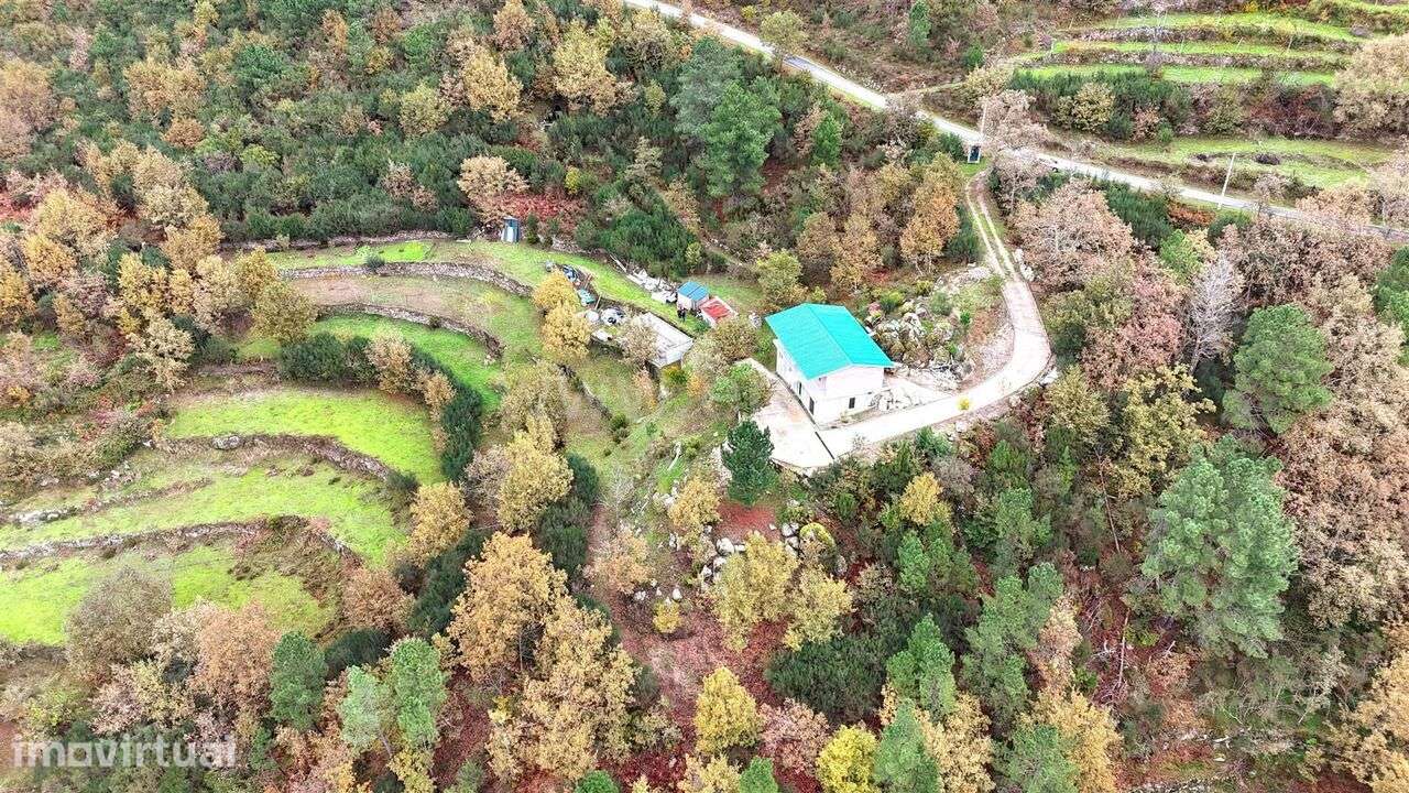 Terreno / Cinfães, Ferreiros de Tendais - Grande imagem: 4/19