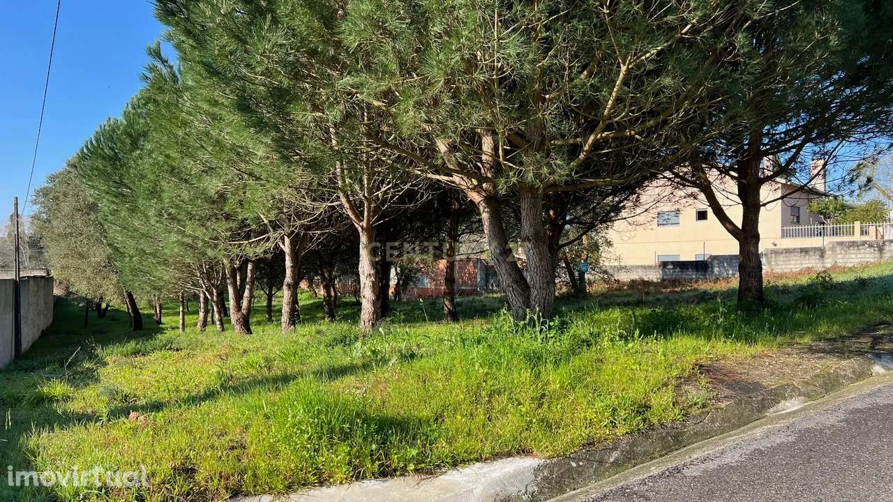 TERRENO RUSTICO - URBANIZAVEL - Grande imagem: 3/8