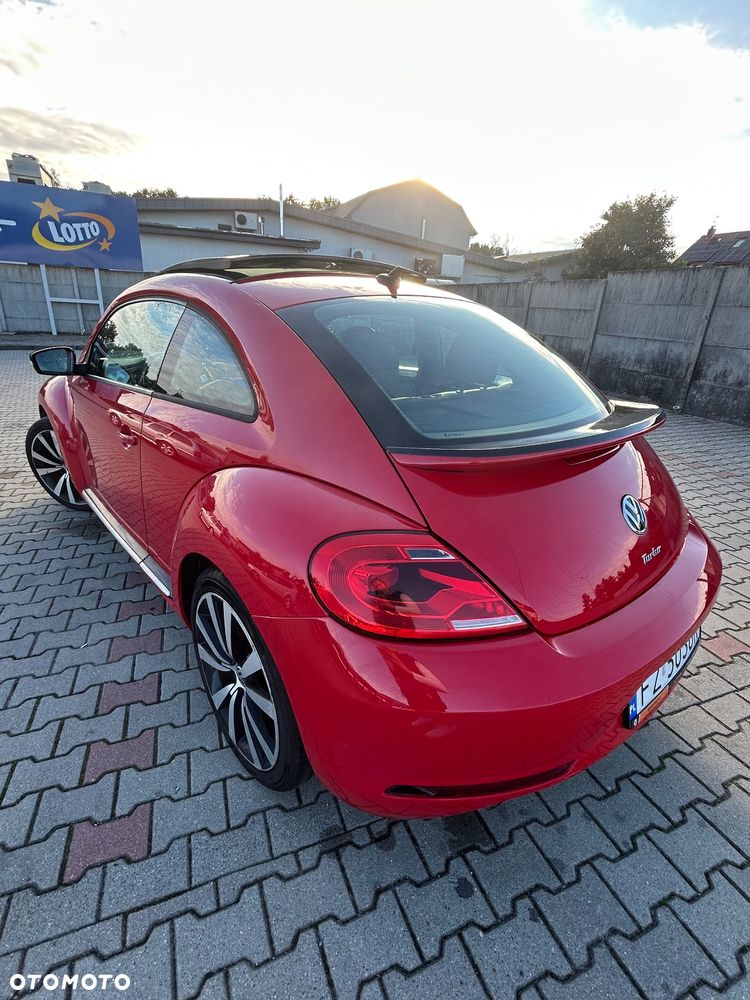 Volkswagen Beetle - 5