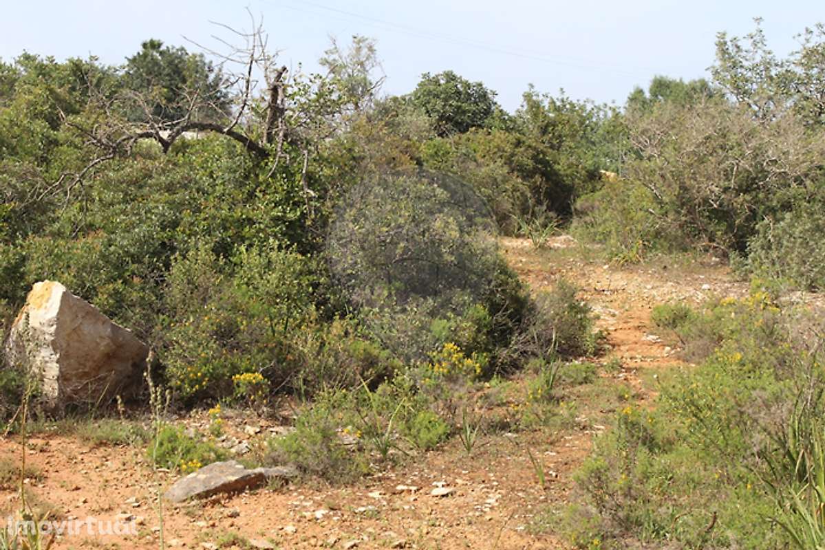 Terreno  para venda - Grande imagem: 3/7