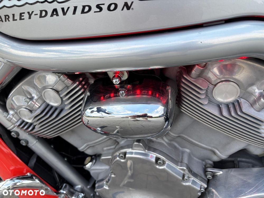 Harley-Davidson Softail V-Rod - 18