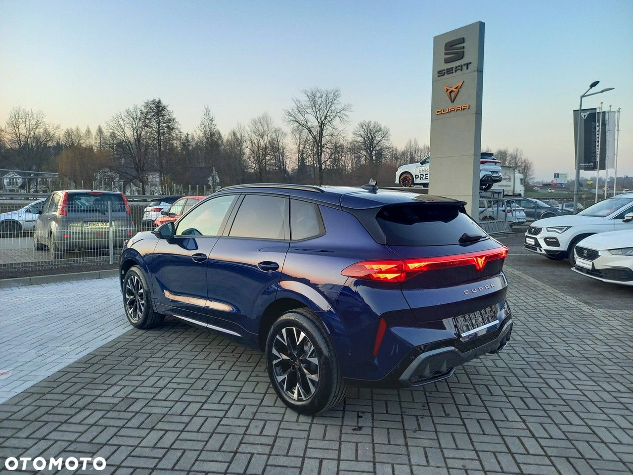 Cupra Terramar - 5