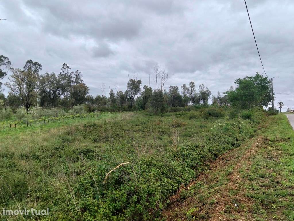 Terreno Industrial com 8.702m² - Localização Premium junto à A25 (A... - Grande imagem: 5/15