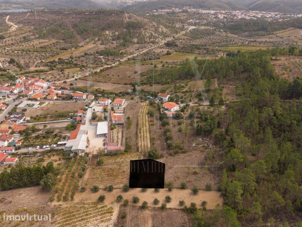 Terreno Rústico | Torre de Vilela, Coimbra - Grande imagem: 5/14