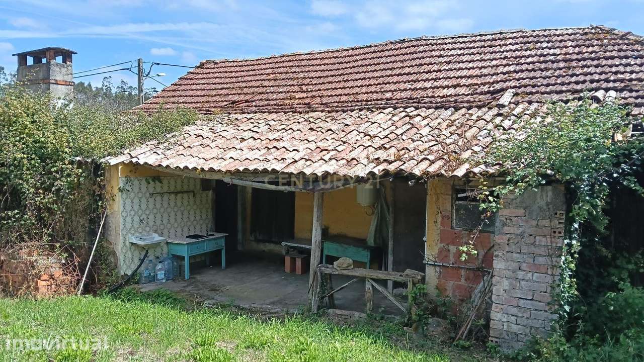 Paraíso Perdido no Campo - Grande imagem: 5/40