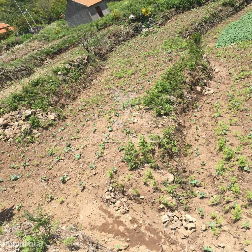 Terreno rústico 2.229m2 com 3 palheiros para recuperação - Grande imagem: 5/11