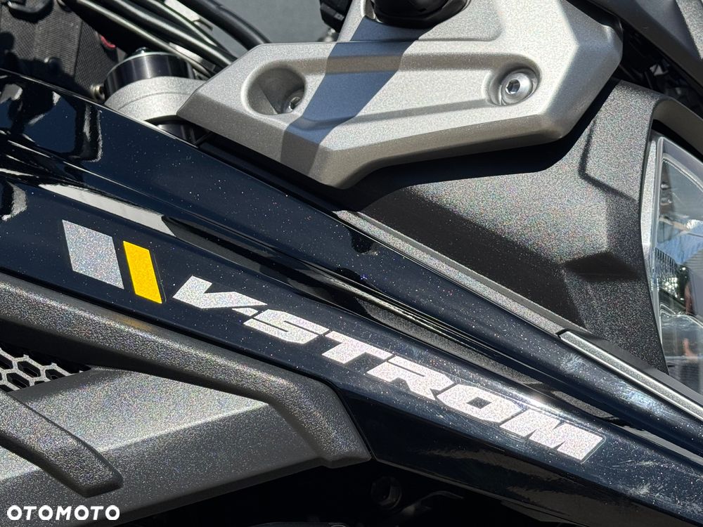 Suzuki V-STROM - 12