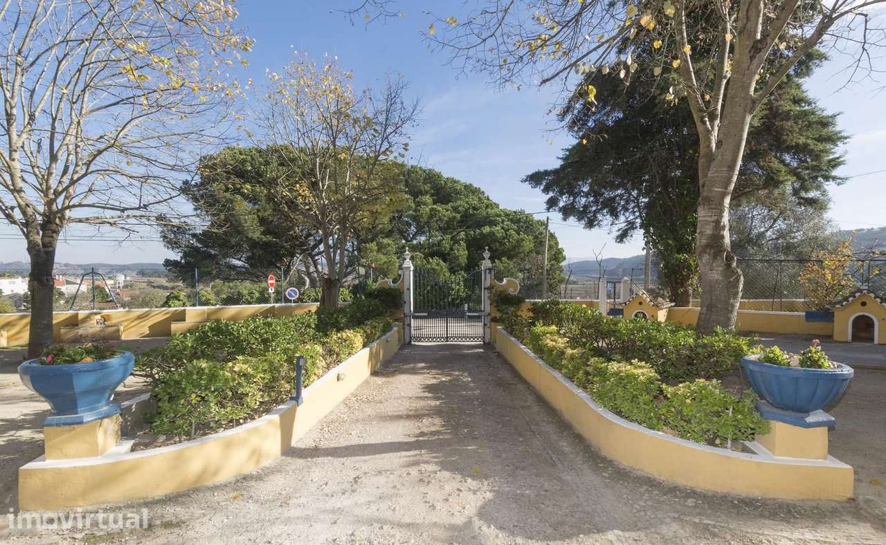 Herdade 6.4 ha, Nazaré - Grande imagem: 2/60