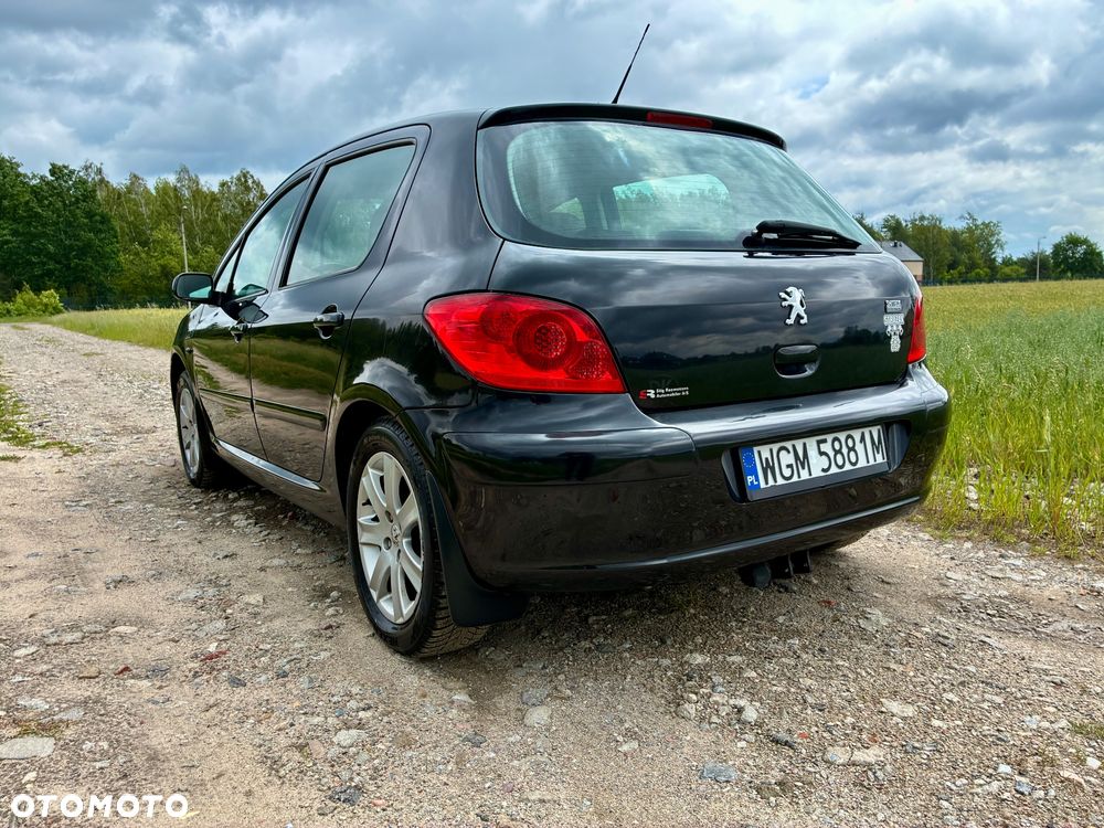 Peugeot 307 - 9