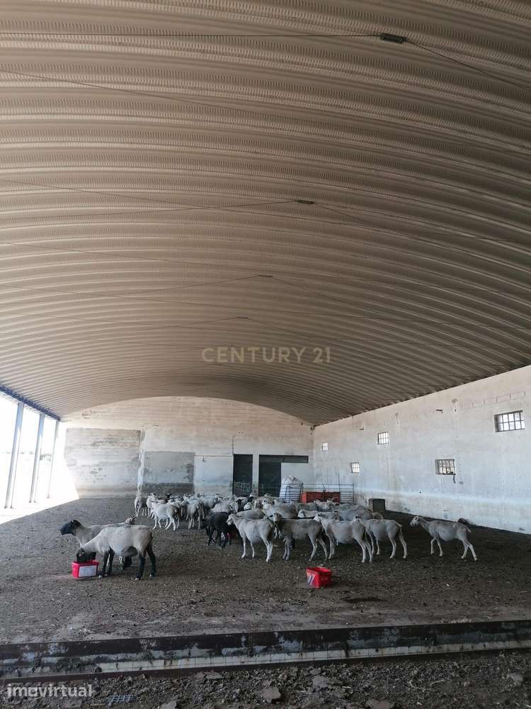 Beja, 2040,150 m2 de Armazéns Diversos instalados em  7190,690  m2 de - Grande imagem: 3/26