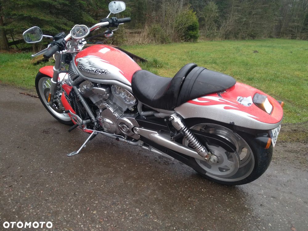 Harley-Davidson Softail V-Rod - 16