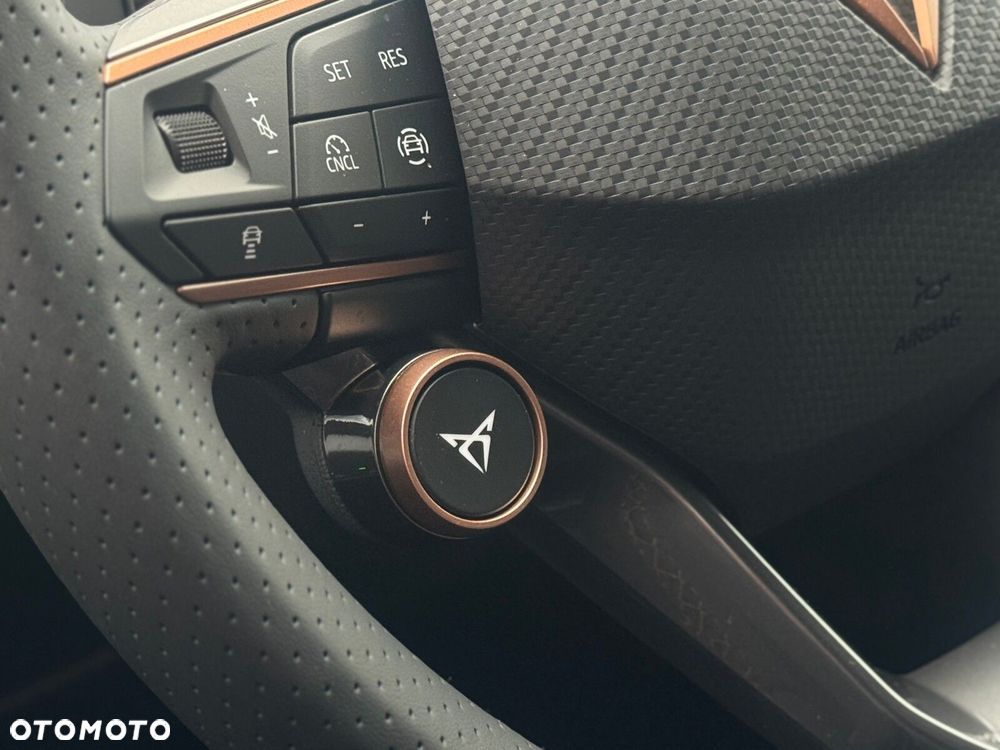 Cupra Terramar - 15