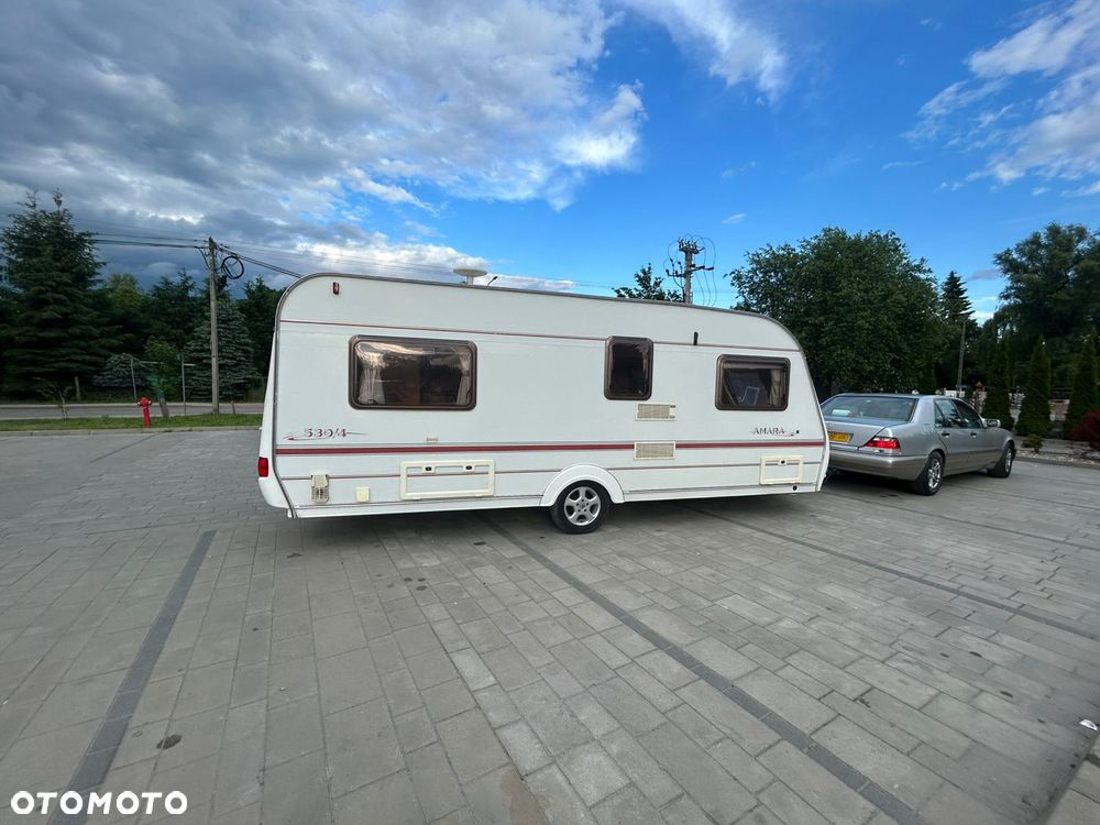 Coachman Amara - 1
