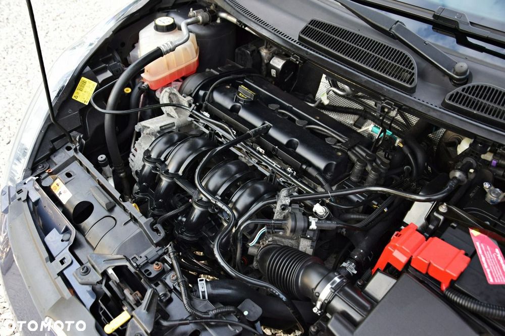 Ford Fiesta - 8