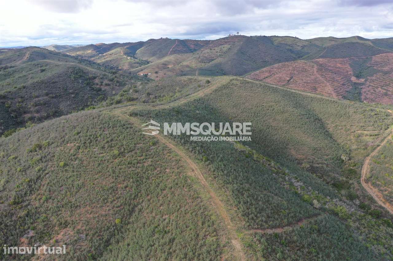 Terreno Rústico  Venda em Santana da Serra,Ourique - Grande imagem: 4/12