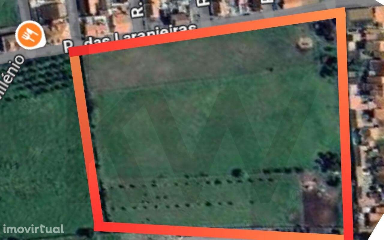 Terreno para Construção * 2,9 hectares na Golegã, em plena Malha Urban - Grande imagem: 3/15