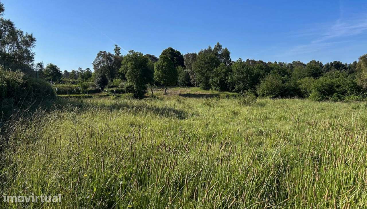 Venda de Terreno, Montaria, Viana do Castelo - Grande imagem: 2/22