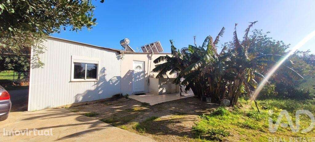 Terreno em Ferreiras - Grande imagem: 4/26