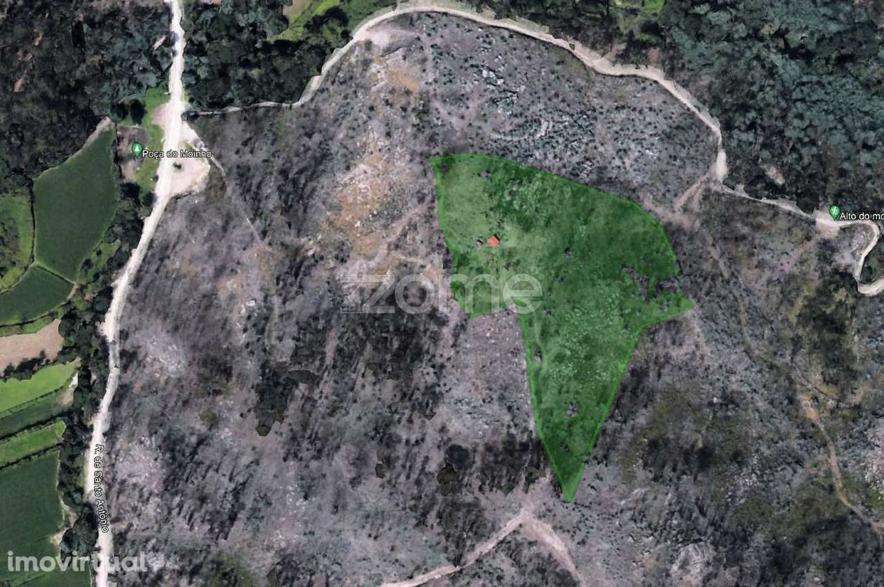 Terreno florestal de 18600 m2 com vistas panorâmicas. - Grande imagem: 2/16