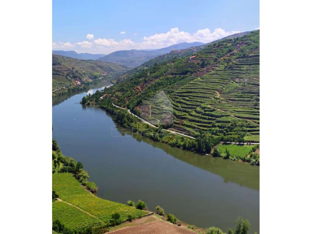 Quinta em Marco de Canaveses (22 artigos) junto ao Rio Douro - Grande imagem: 2/10