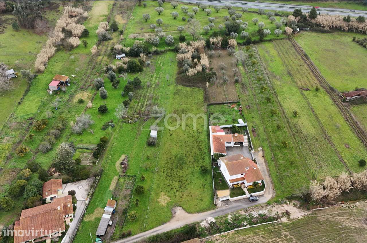 Terreno |Antuzede - Grande imagem: 5/15