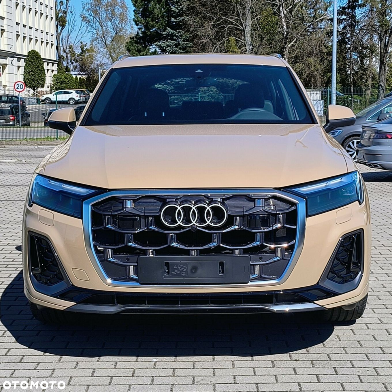 Audi Q7 - 7